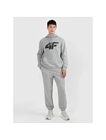 Pánské joggerové tepláky 4F 4FRMM00TTROM1625-27M