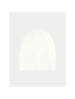 Dámská zimní čepice model 21892991 - 4F