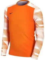 Dětská brankářská mikina Dry Park IV JSY LS JR CJ6072-819 - Nike