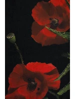 Szal Art Of Polo 25107 Lorie