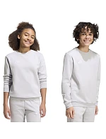 Dětská mikina Entrada 26 Sweat Top šedá model 22055017 - ADIDAS