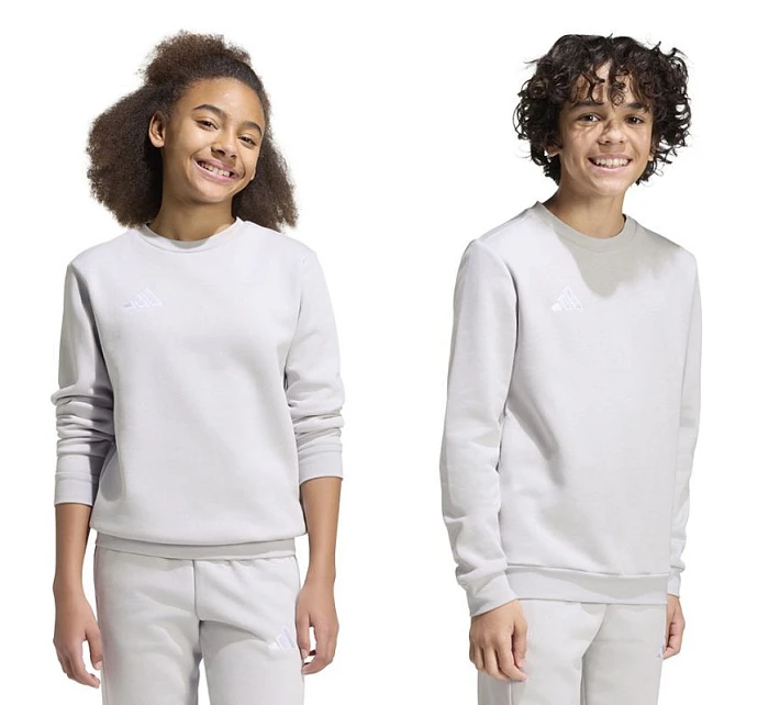 Dětská mikina Entrada 26 Sweat Top šedá model 22055017 - ADIDAS