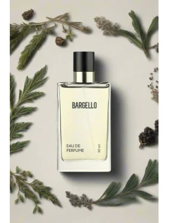 Pánské parfém 751 s dřevitou vůní s cedrem a bergamotkou 50 ml