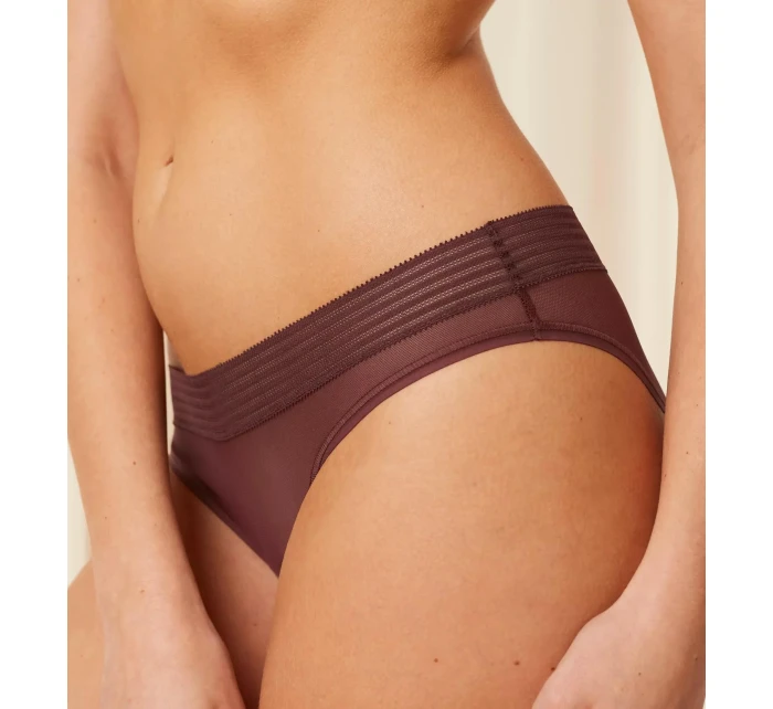 Tempting Sheer Highleg Tai 2P - BROWN - TRIUMPH BROWN - TRIUMPH