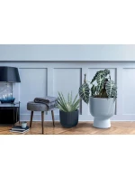 DONICZKA DO  NA  ANTRACYT dětské model 21833641