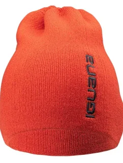 M cap model 19397975 - Iguana