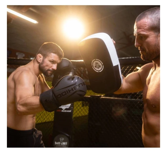 Tréninkový z přírodní kůže model 21438280 - DBX Bushido Tréninkový z přírodní kůže model 21438280 - DBX Bushido