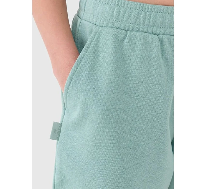 spodenki dresowe 4F model 22086783 - Hikvision