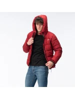 Pánský prošívaný zimní kabát model 21417557 - Iguana