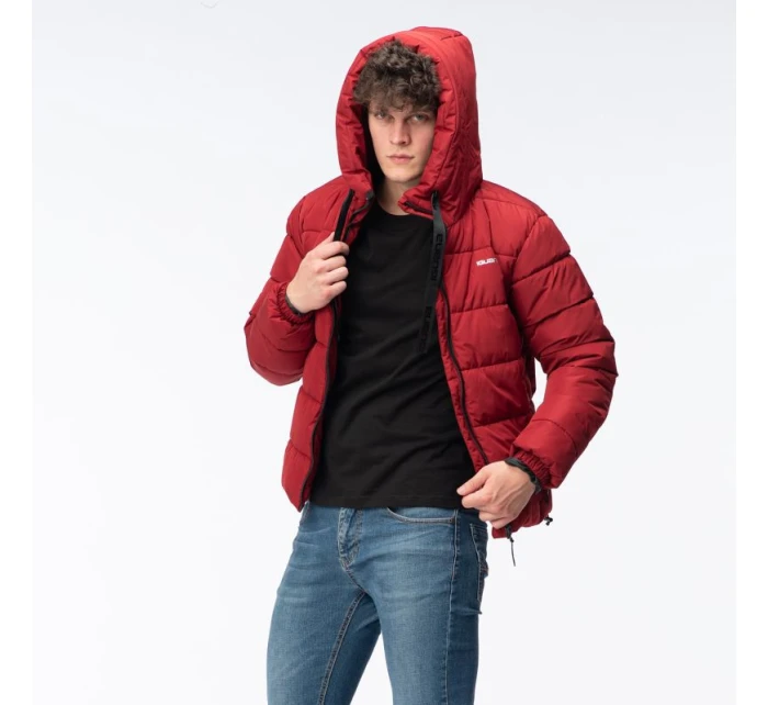 Pánský prošívaný zimní kabát model 21417557 - Iguana