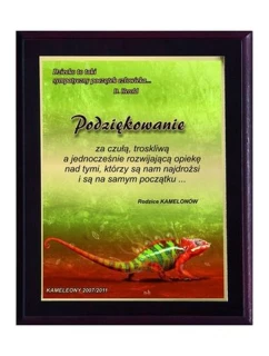 Dyplom z tworzywa sztucznego z colour model 21829366