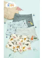 Chlapecké boxerky A'2 zelené model 21069639 - DC Polo Chlapecké boxerky A'2 zelené model 21069639 - DC Polo