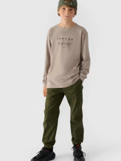 Tričko S  Pro S Regular  Šedé model 21673402 - 4F