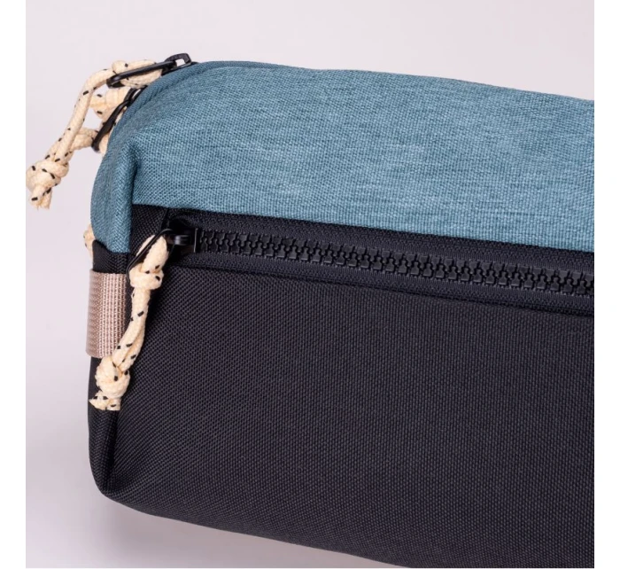 model 21355968 - Iguana