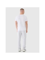 Pánské tepláky typu jogger model 21433032 - 4F Pánské tepláky typu jogger model 21433032 - 4F