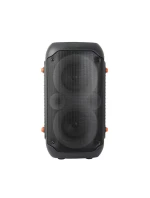 BT FM RGB model 21861682