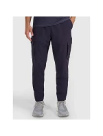 Pánské rychleschnoucí tréninkové kalhoty model 21815765 - 4F Pánské rychleschnoucí tréninkové kalhoty model 21815765 - 4F