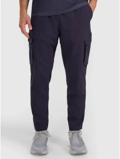 Pánské rychleschnoucí tréninkové kalhoty model 21815765 - 4F