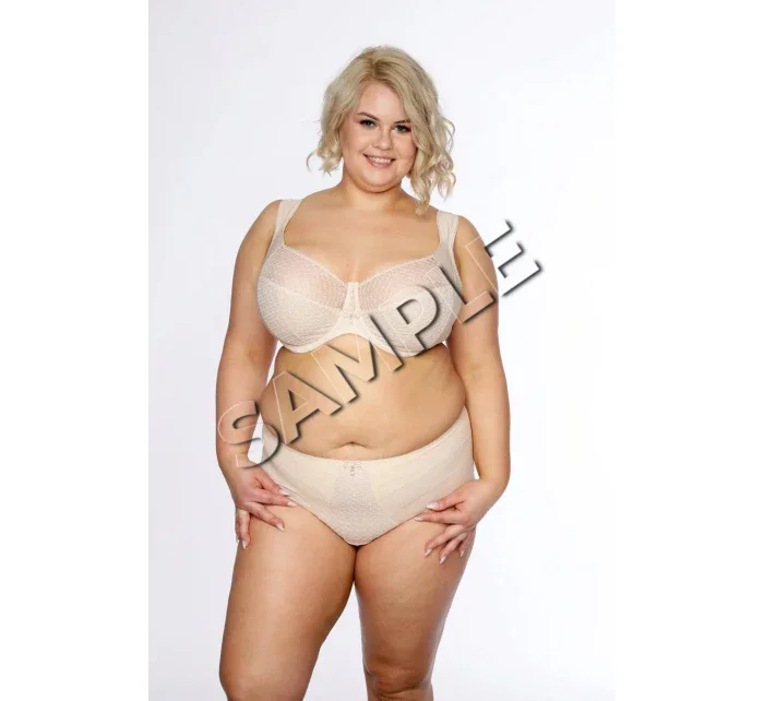 Dámské kalhotky ART. model 7317458 - Gaia Dámské kalhotky ART. model 7317458 - Gaia