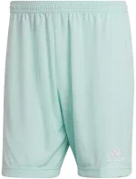 Pánské šortky Entrada 22 M HC5051 - Adidas