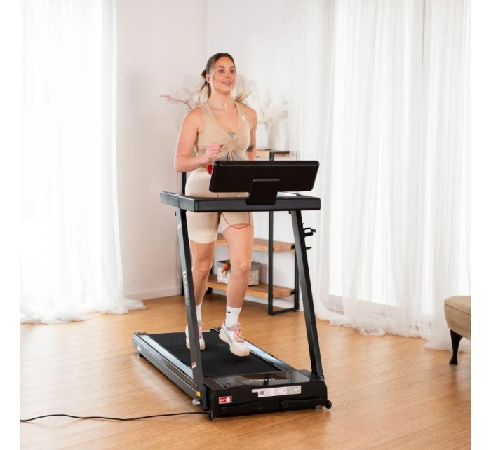 PÁS model 21818244 - HMS