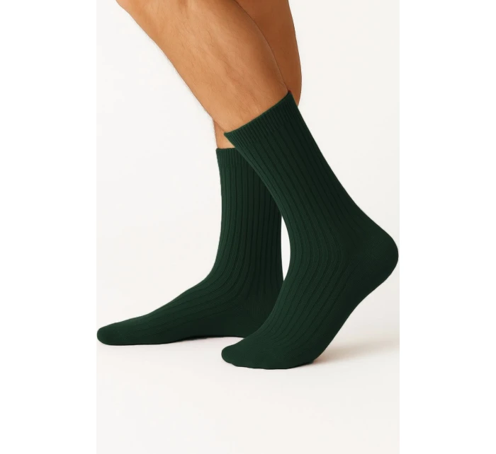 PÁNSKÉ PONOŽKY model 21782102 - GIANNA