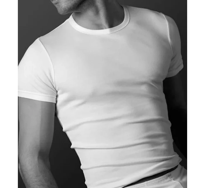 Pánské tričko model 20839734 - Atlantic