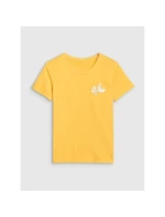 Dámské tričko s potiskem 4F 4FRSS25TTSHF2693-71S