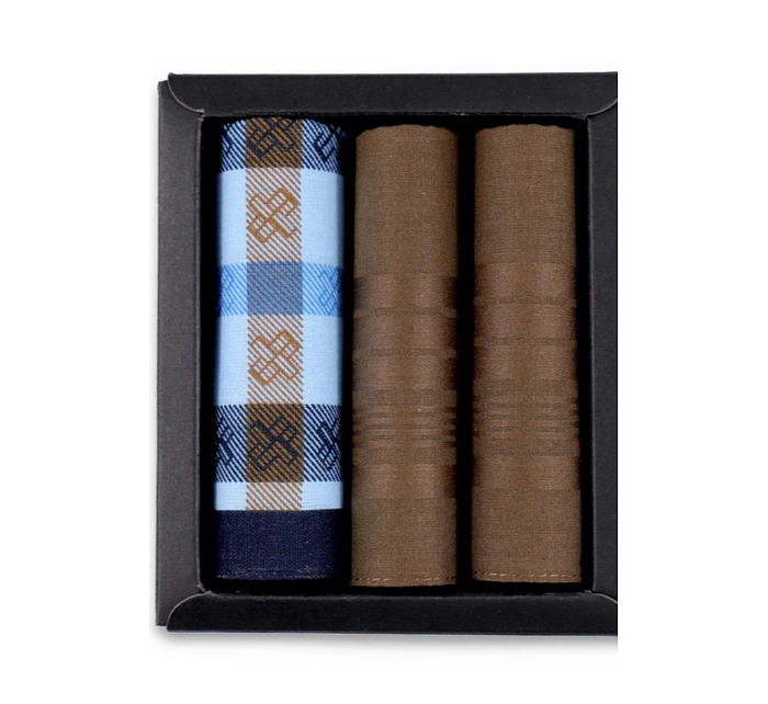 Pánské kapesníky ks model 22072908 - EGA Pánské kapesníky ks model 22072908 - EGA