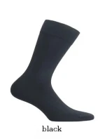 Pánské ponožky model 19409148 Elegant - Wola