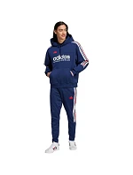 Adidas House of Tiro Nations Pack Hoodie M IY4530 pánské Adidas House of Tiro Nations Pack Hoodie M IY4530 pánské