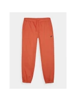 Pánské tepláky typu jogger model 21433039 - 4F Pánské tepláky typu jogger model 21433039 - 4F