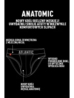 model 18881426 - Atlantic