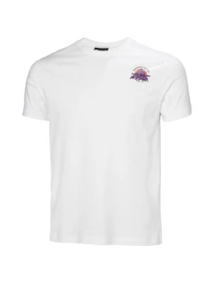 Core Graphic T 2.0 M model 21183787 002 tričko - Helly Hansen