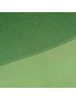 SEA TO SUMMIT Aeros Premium Regular Lime Pillow