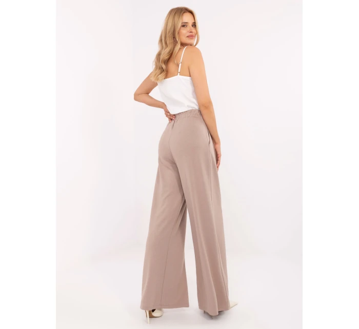 Spodnie RV DR model 21302453 ciemny bezowy - FPrice