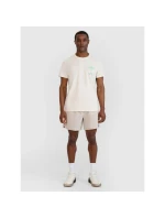 Pánské tričko s potiskem model 21436942 - 4F Pánské tričko s potiskem model 21436942 - 4F