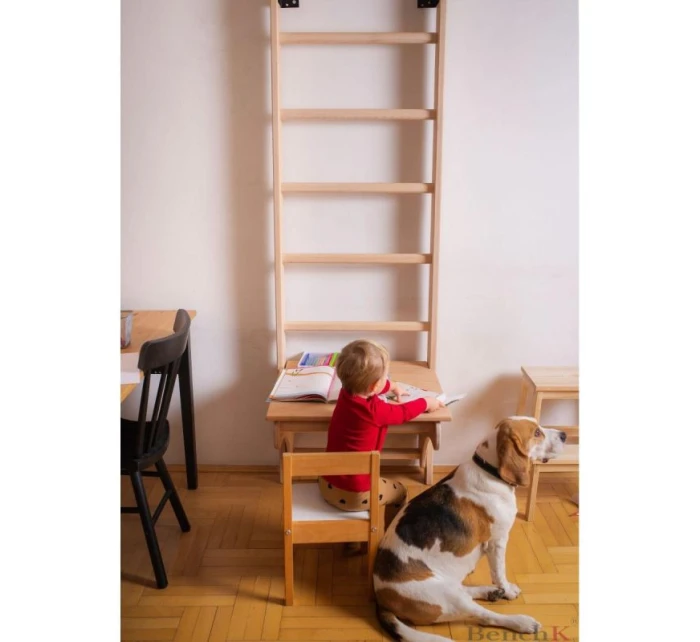 DŘEVĚNÝ ŽEBŘÍK S LAVIČKOU 112