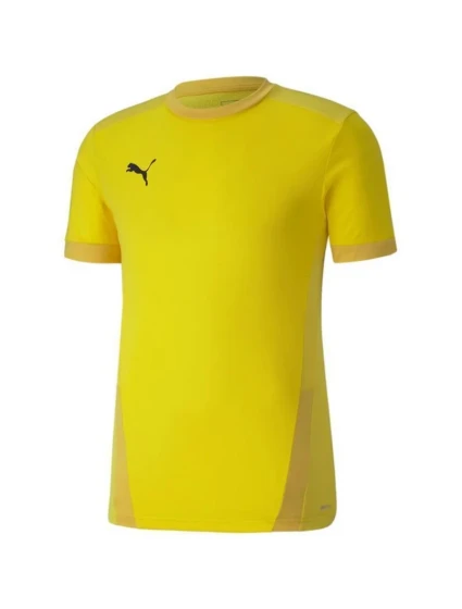 Puma teamGOAL 23 Jersey M 704171 07 pánské dresy