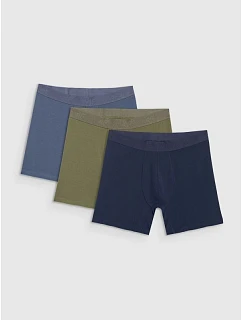 Pánské boxerky (3 balení) model 22117233 - 4F