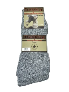 Pánské ponožky  A'5 model 17820950 - WiK