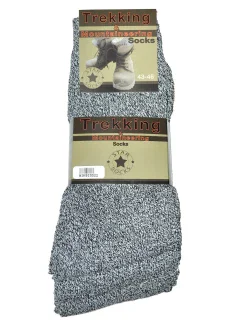 Pánské ponožky  A'5 model 17820950 - WiK