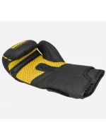 Boxerské rukavice RPU-BLACK 012325-0210