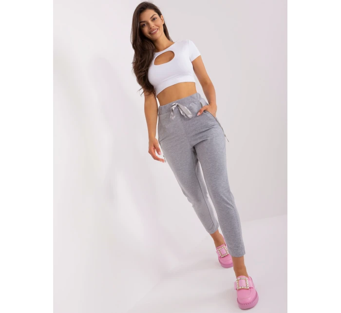 Spodnie EM DR HW 20 389.36 szary