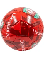 fotbal model 20903478 - Liverpool FC fotbal model 20903478 - Liverpool FC