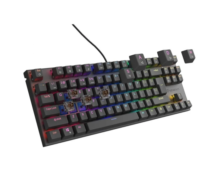 303 TKL Herní USB QWERTY klávesnice s  černá model 21491508 - Genesis