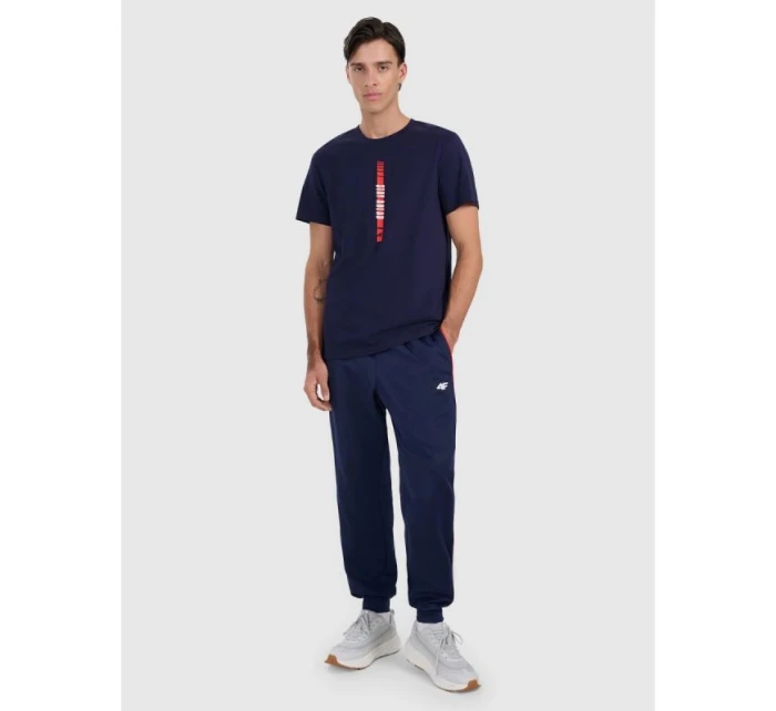 Pánské tričko s potiskem model 21756902 - 4F