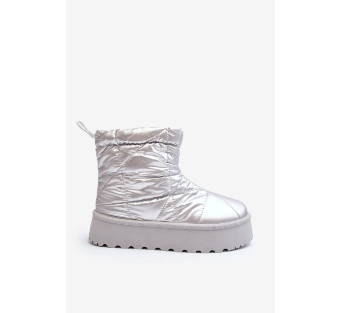 Dámské sněhule na masivní platformě stříbrné Fionia Dámské sněhule na masivní platformě stříbrné Fionia