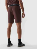 Pánské sportovní rychleschnoucí šortky 4F - hnědé Pánské sportovní rychleschnoucí šortky 4F - hnědé