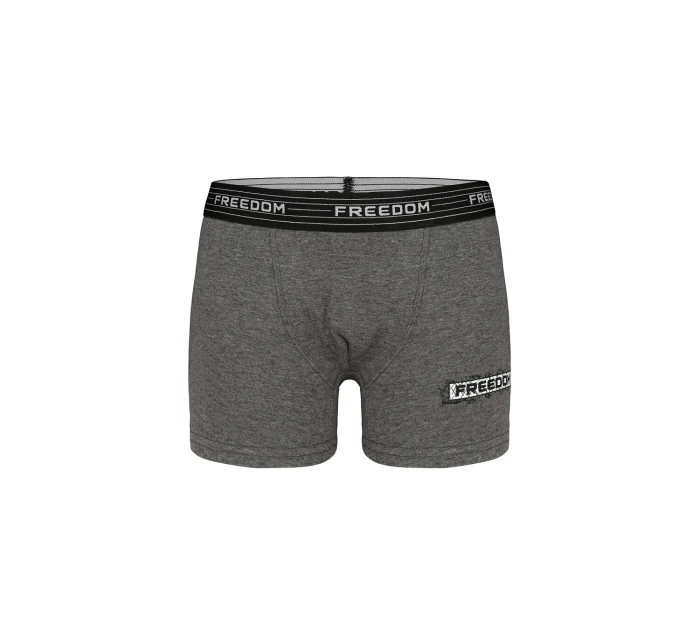 Chlapecké boxerky model 21335406 - Donella